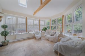 Photo 12- click for photo gallery